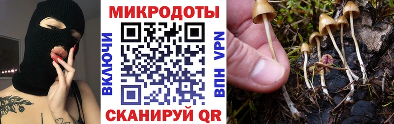 Псилоцибиновые грибы прущие грибы  даркнет сайт  Зуевка 